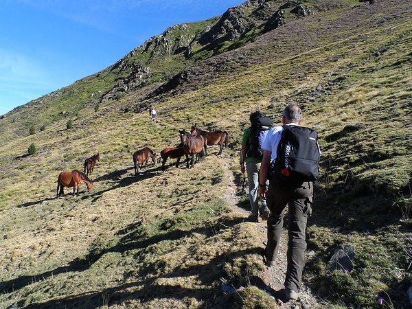 accompagnateur en aspe randonnée en montagne