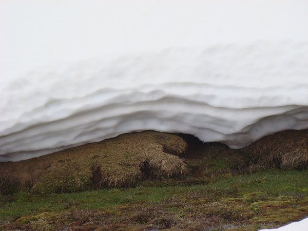 accompagnateur en aspe randonnée en montagne