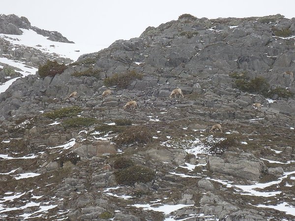 accompagnateur en aspe randonnée en montagne