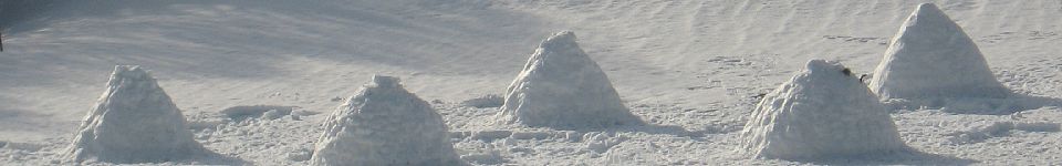 accompagnateur en aspe