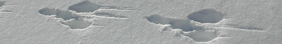 accompagnateur en aspe