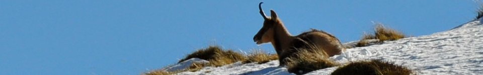 accompagnateur en aspe