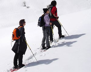raquette-neige